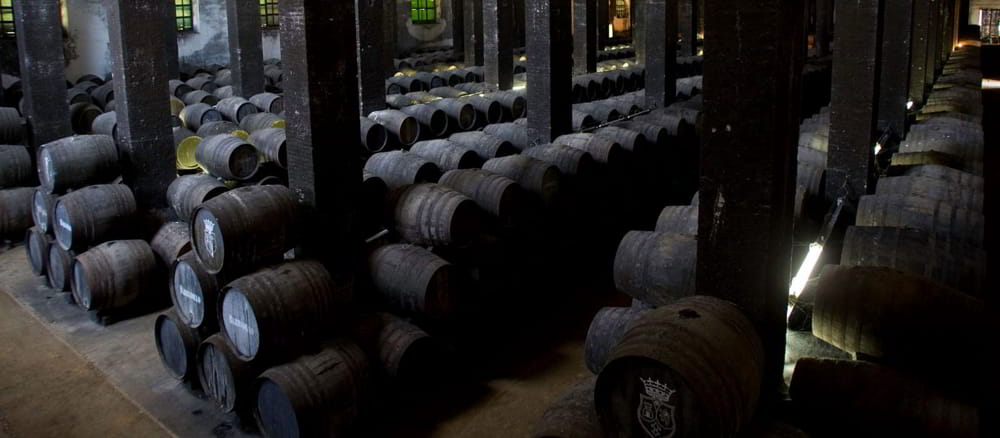 Jerez al Norte - Bodega Catedral